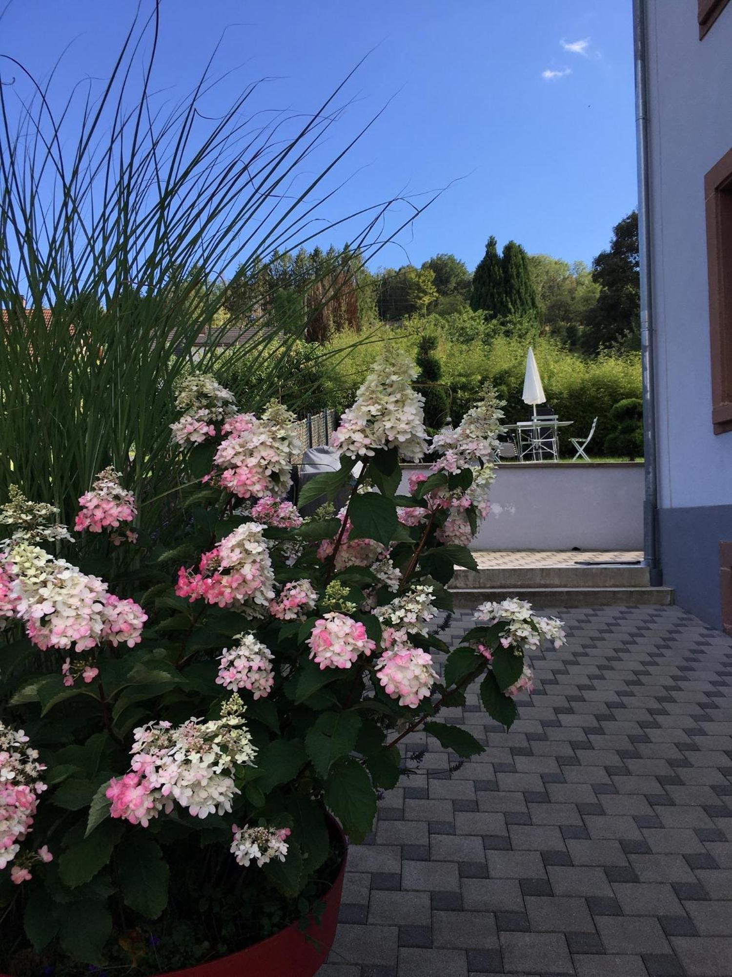 BarembachLes Magnolias En Alsace - Meuble De Tourisme 3 Etoiles公寓 外观 照片